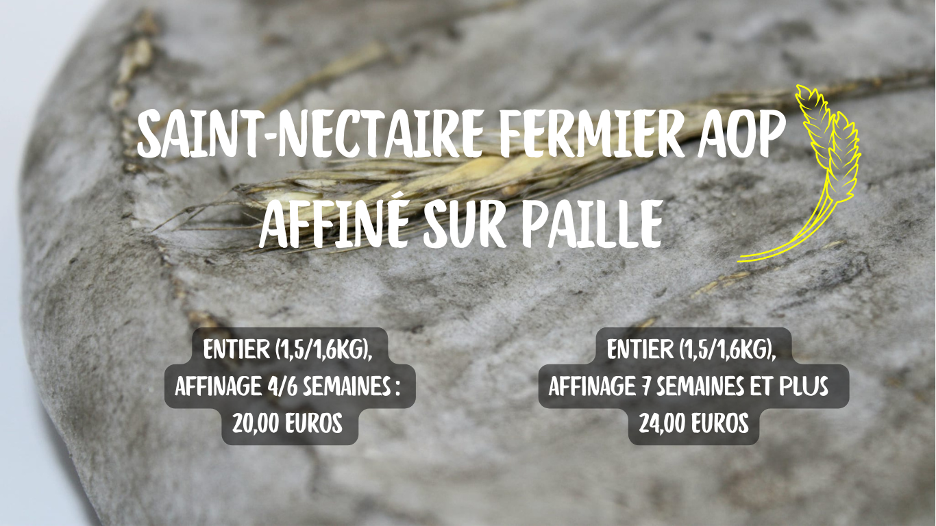 Saint nectaire fermier aop affine sur paille 3